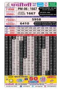 Maharashtra Padmini Weekly Draw Result
